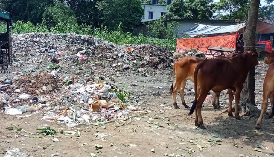তানোরের পশুহাটে ময়লার ভাগাড়