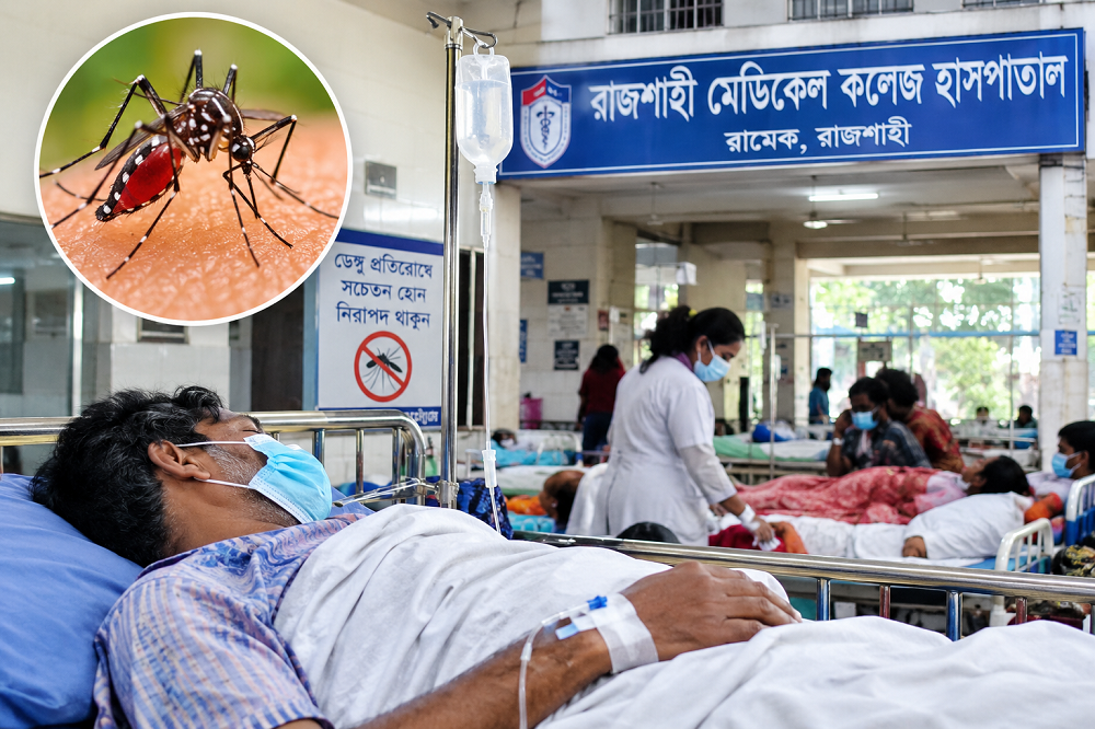 রামেক হাসপাতালে বাড়ছে ডেঙ্গু রোগীর চাপ
