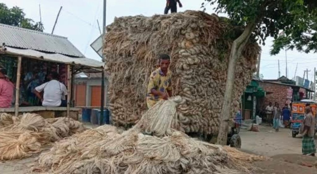 সোনালী আঁশে লাভবান রাজশাহীর কৃষক