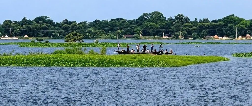 বাগমারায় পাটের জাগ দেখতে বিলের পানিতে নেমে নিখোঁজ কৃষক