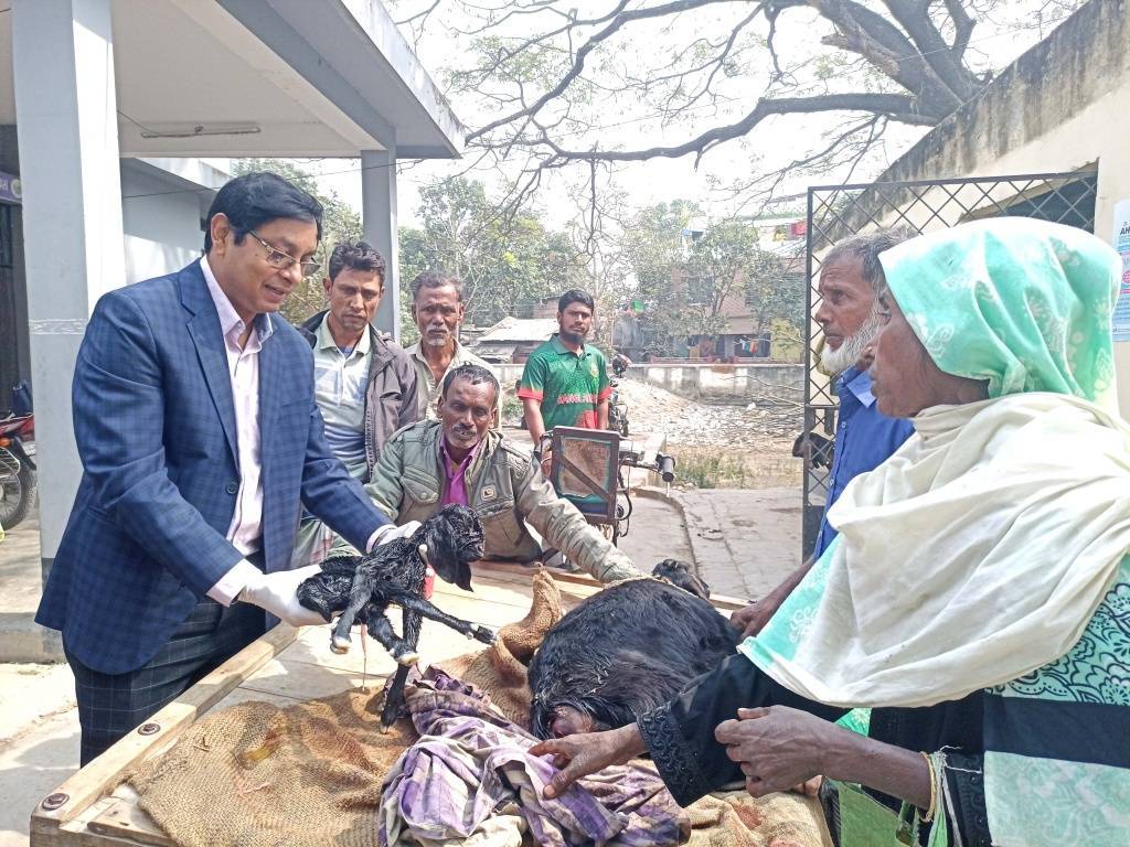 পবায় গবাদিপশু পালনে আগ্রহ বাড়ায় হ্রাস পাবে বেকারত্ব শক্তিশালী হবে স্থানীয় অর্থনীতি