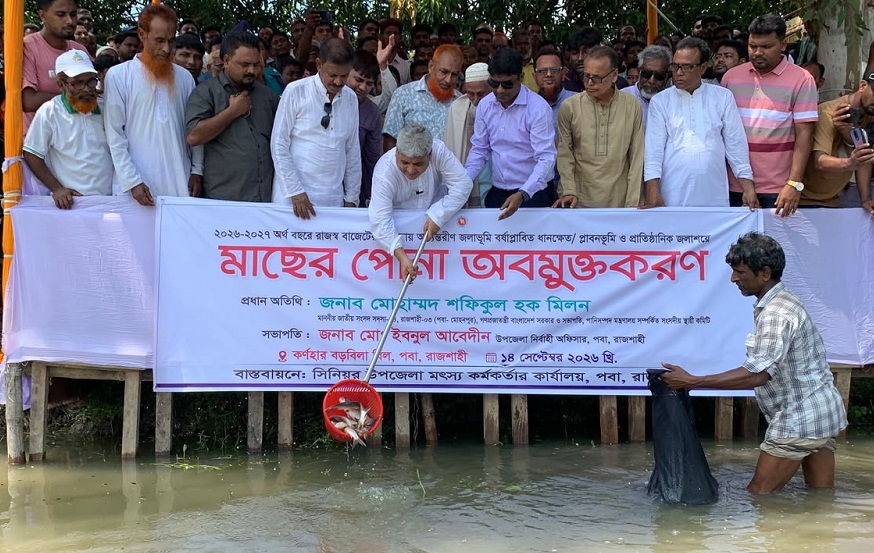 মাছের পোনা বড় হলে সমৃদ্ধ হবে জলাশয় : এমপি মিলন
