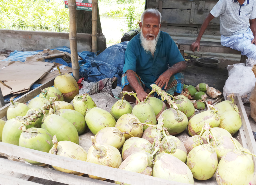 বাগমারায় নাগালের বাইরে ডাব ও নারিকেলের দাম