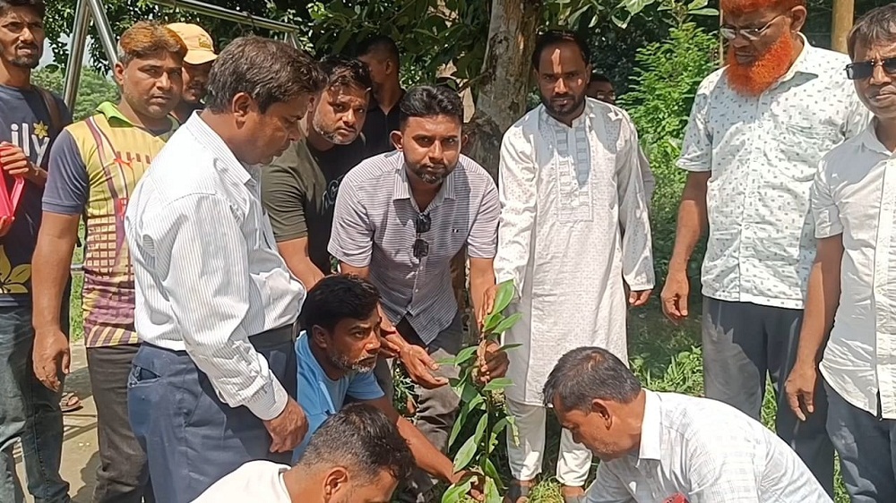 রাজশাহীতে বিদ্যালয়ের শিক্ষার্থীদের মাঝে বিভিন্ন প্রজাতির ফলজ ও বনজ গাছের চারা বিতরণ