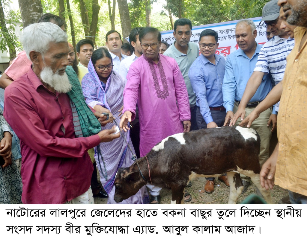 লালপুরে জেলেদের মধ্যে বকনা বাছুর বিতরণ