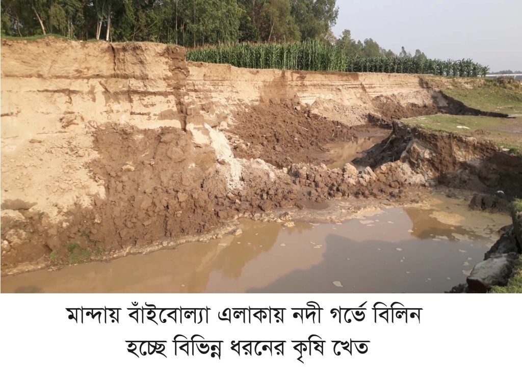 মান্দায় বালু দস্যুদের থাবায় নদীগর্ভে বিলিন ফসলি জমি
