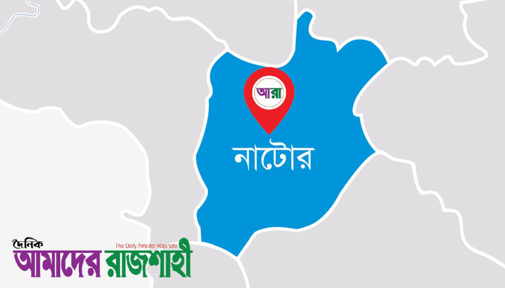 নাটোর-১ আসনে নৌকা ও স্বতন্ত্র প্রার্থী নিয়ে বিপাকে নেতাকর্মীরা