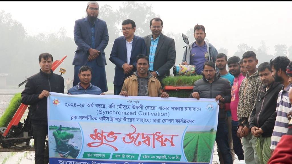 পত্নীতলায় সমলয় পদ্ধতিতে ধান চাষ