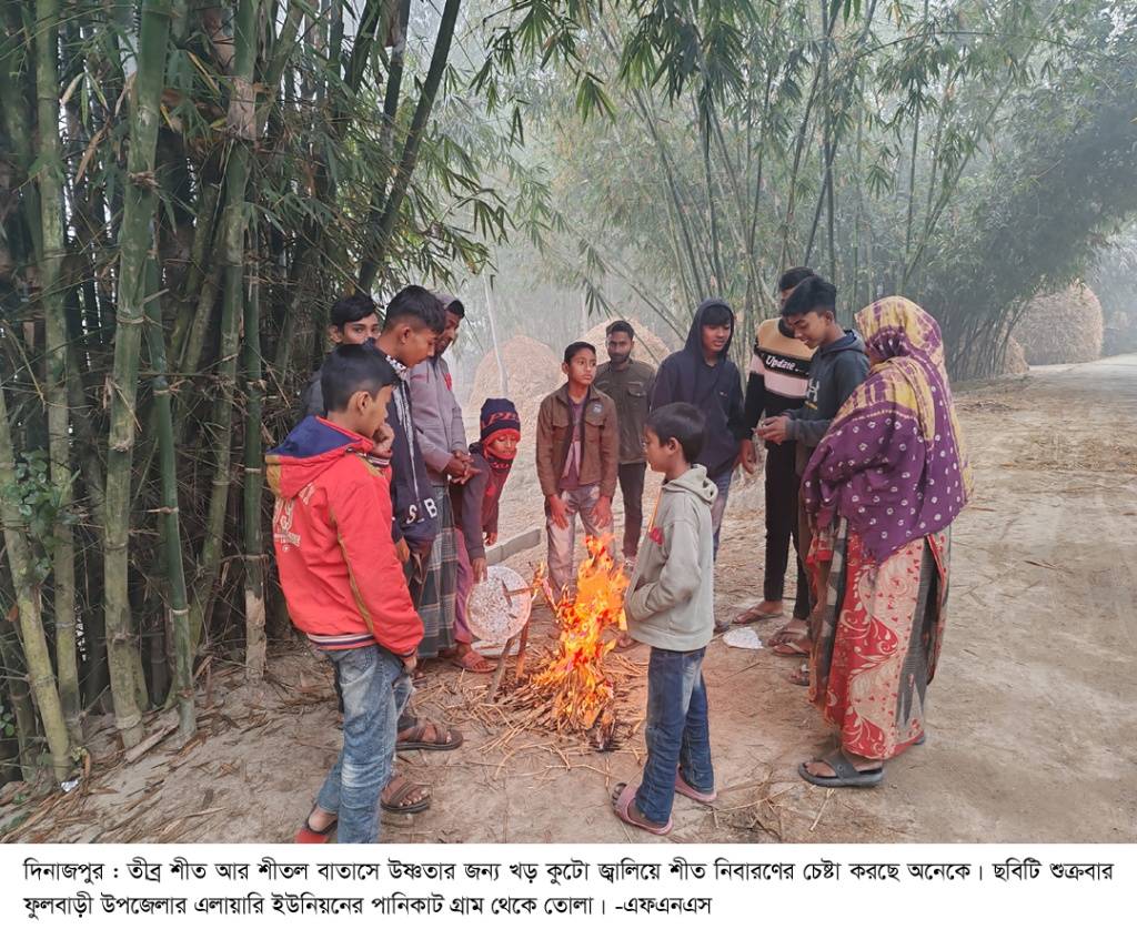 শীতে জবুথবু দেশ