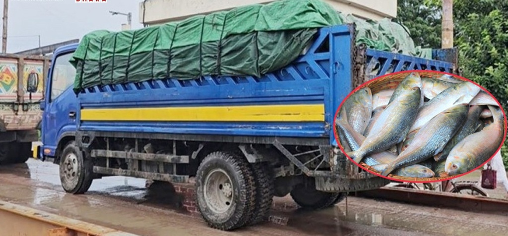 বেনাপোল বন্দর দিয়ে ভারত গেলো আরও ৯৯ টন ইলিশ