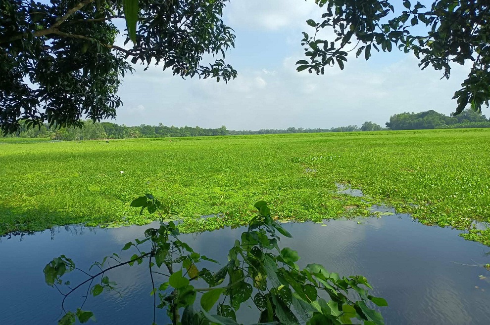 মান্দায় ৩ হাজার বিঘা জমির ফসল রক্ষায় খাল খননের দাবি