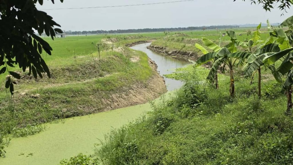 কাগজে ১০ হাজার দিনমজুর, পাড়ে শুধুই ‘ভেকু’