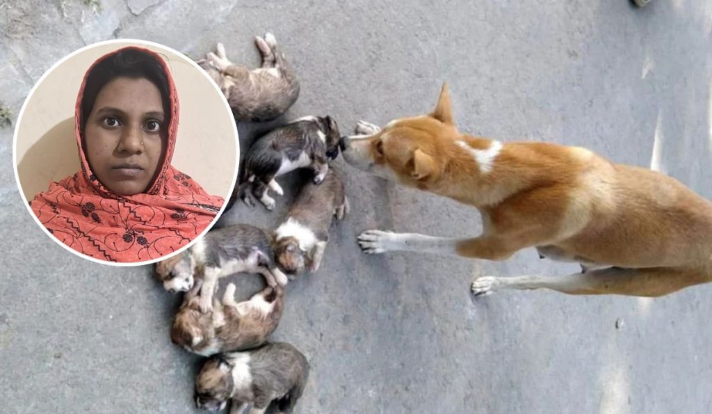 পাবনায় ৮টি কুকুর ছানাকে ডুবিয়ে হত্যায় নারী গ্রেপ্তার