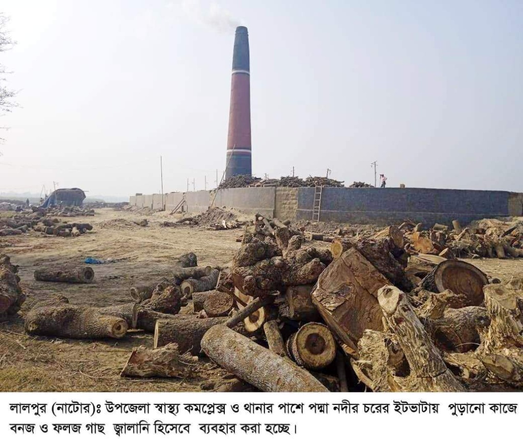 লালপুরে প্রশাসনের অবহেলায় গড়ে উঠছে অবৈধ ইটভাটা
