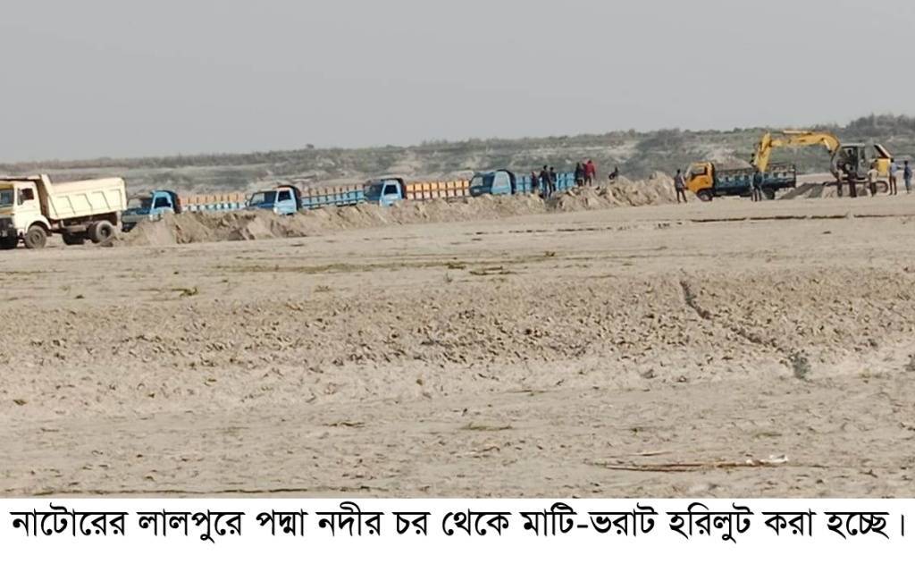 লালপুরে পদ্মায় বালু-মাটি হরিলুট, প্রশাসন নীরব